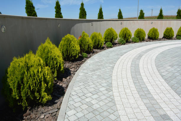 Best Custom Driveway Pavers  in Holiday Heights, NJ